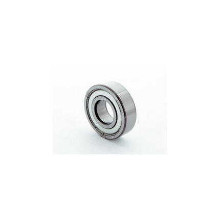lager 6203 (RS)