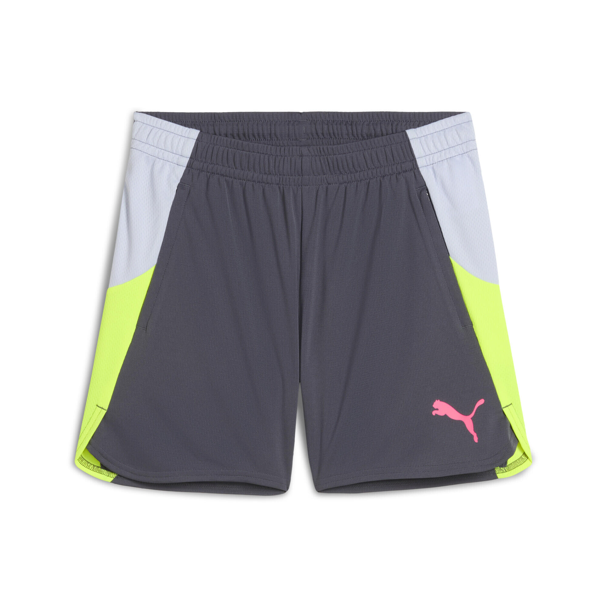 PUMA picture