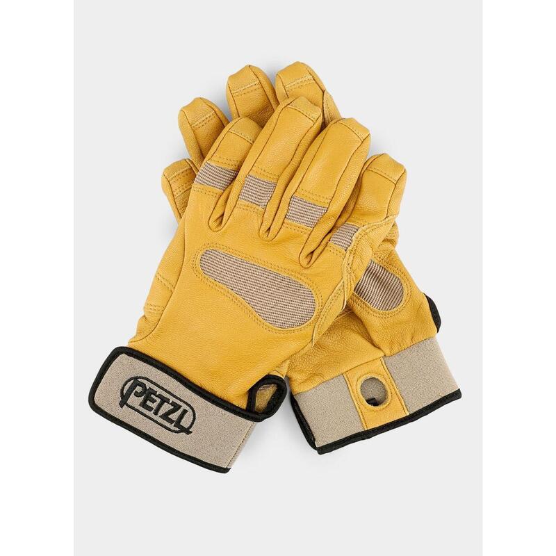 b55e0cc5-0ea6-4c26-be45-71ec631c8604_c22