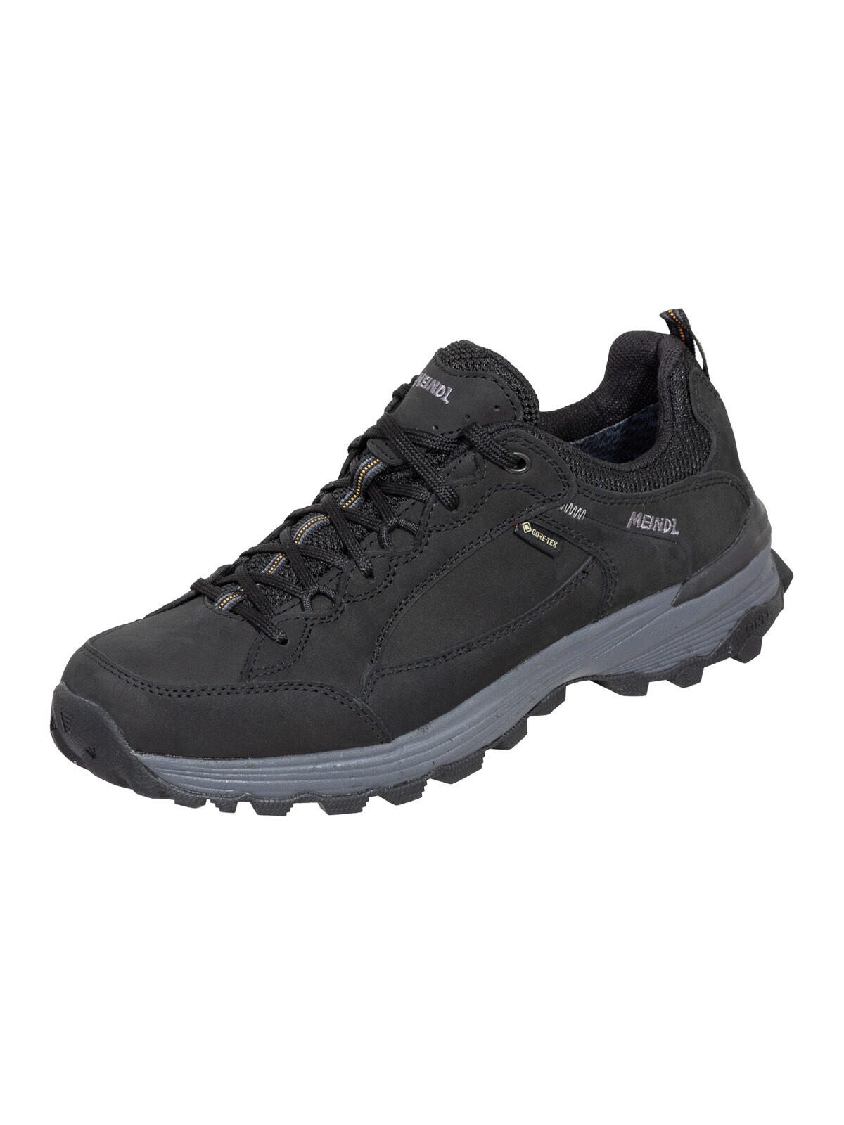 Buty trekkingowe męskie Toledo 2 GTX