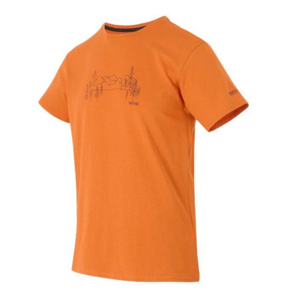 REGATTA Regatta T-Shirts BreezedV HEREN FOX 2/4