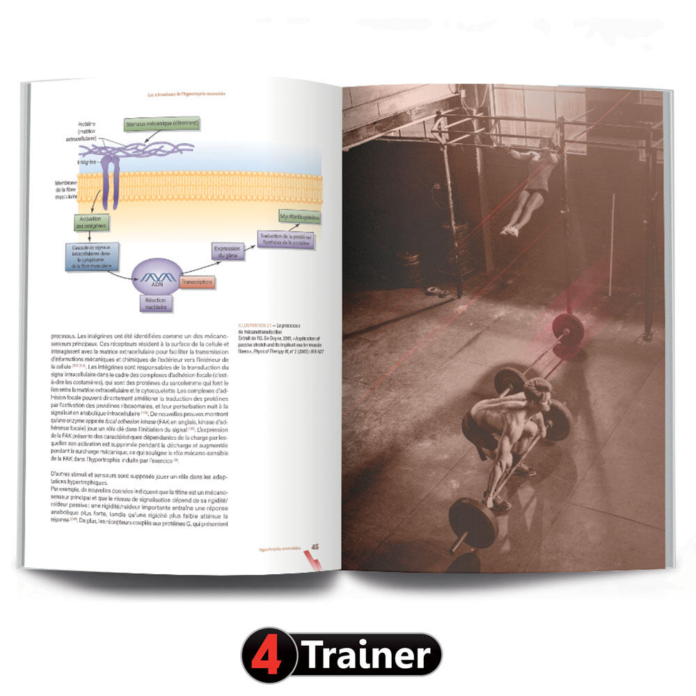 HYPERTROPHIE - 2nde Édition - 4TRAINER EDITIONS 5/7