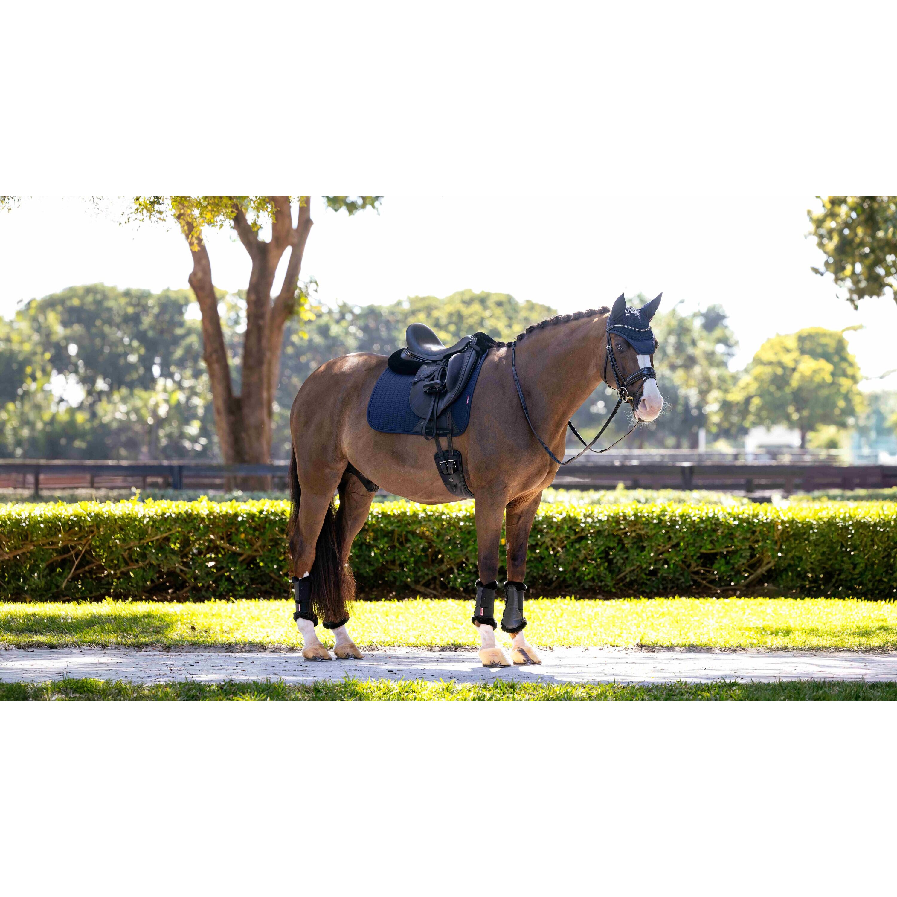 Dressuurmat voor paarden LeMieux 4/4