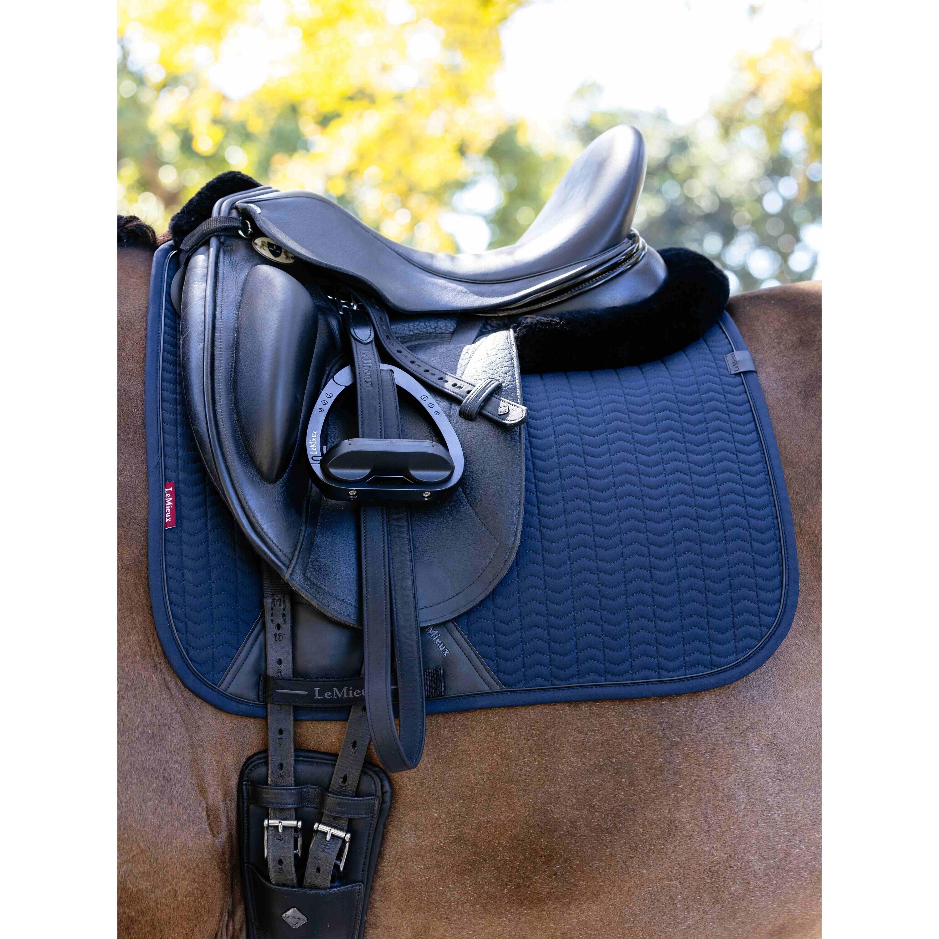 Dressuurmat voor paarden LeMieux 2/4
