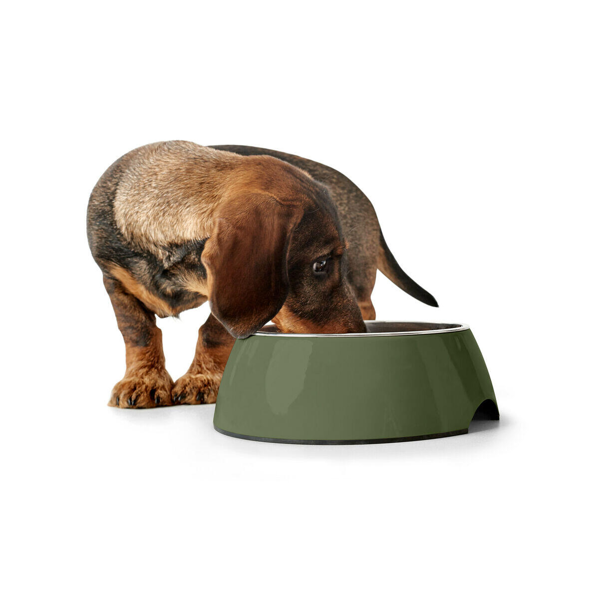 Comedero para Perro Hunter Verde 4/4