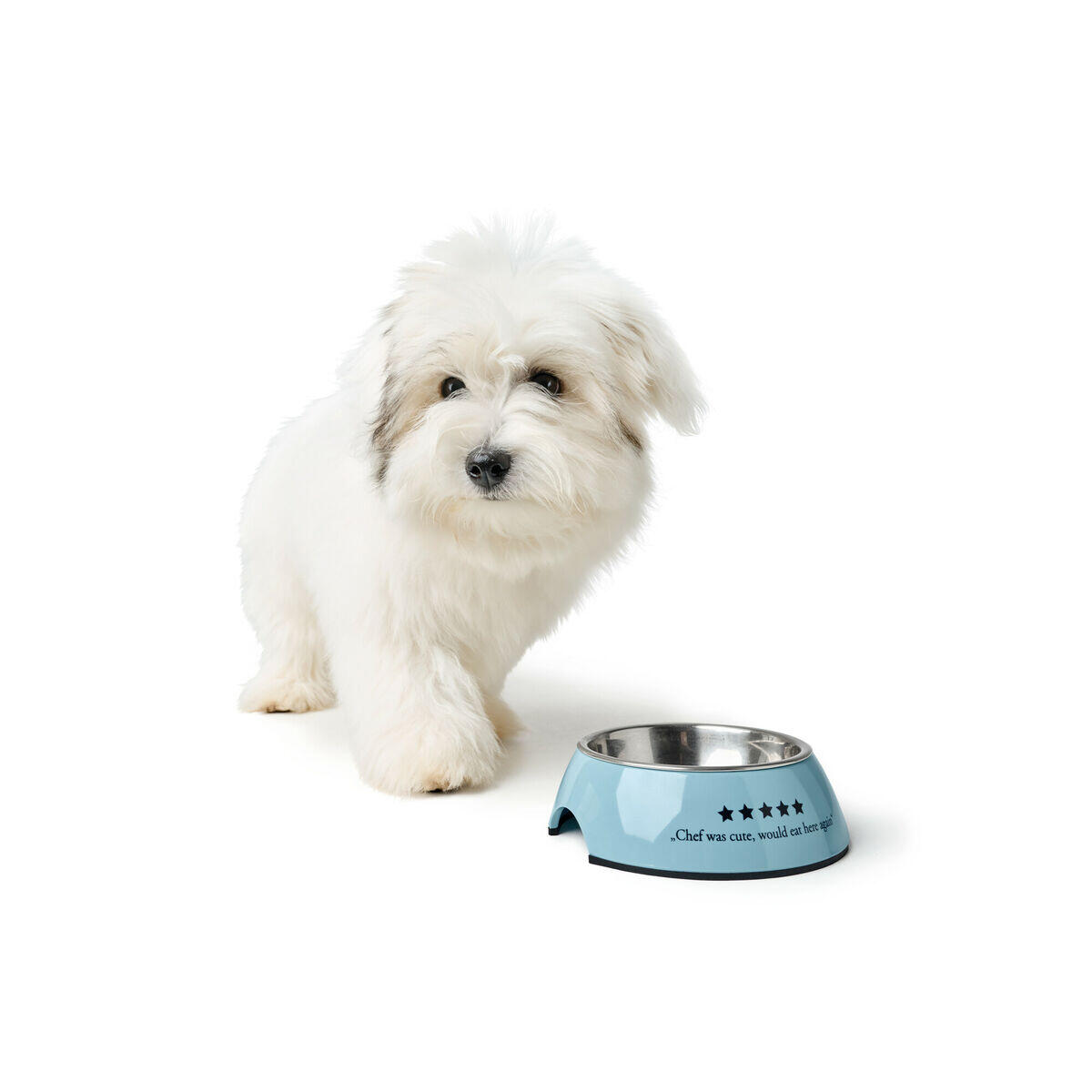 Comedero para Perro Hunter Mayfair Azul 3/4