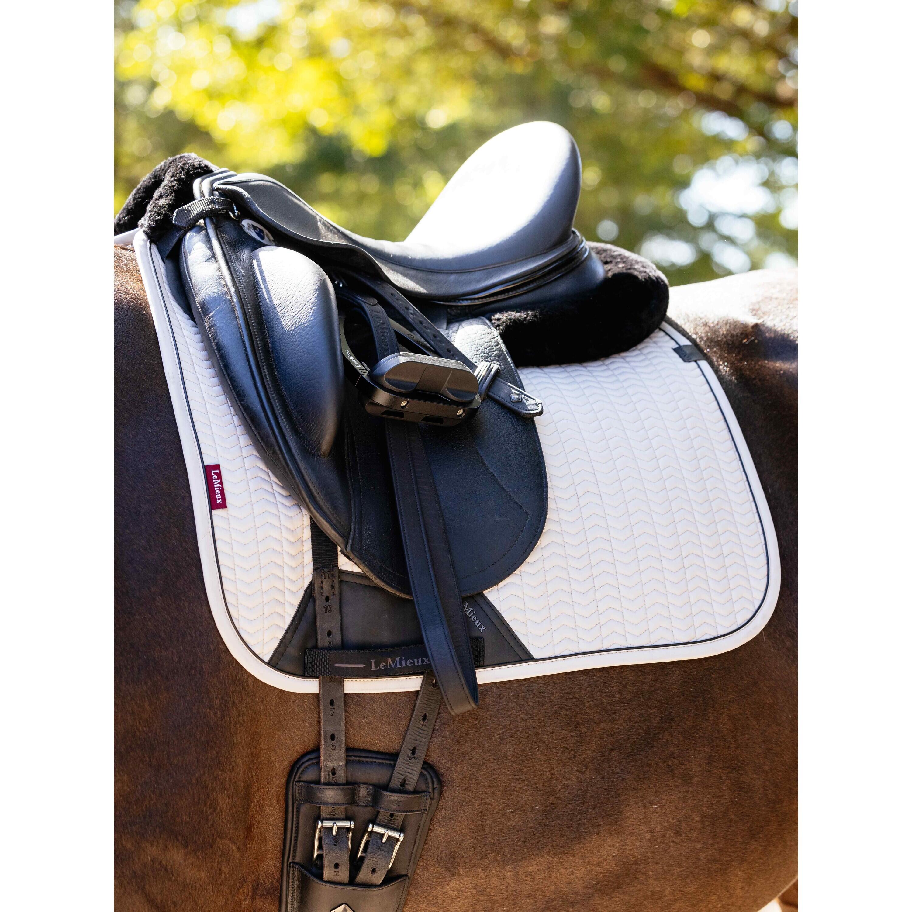 Dressuurmat voor paarden LeMieux Finesse 2/3