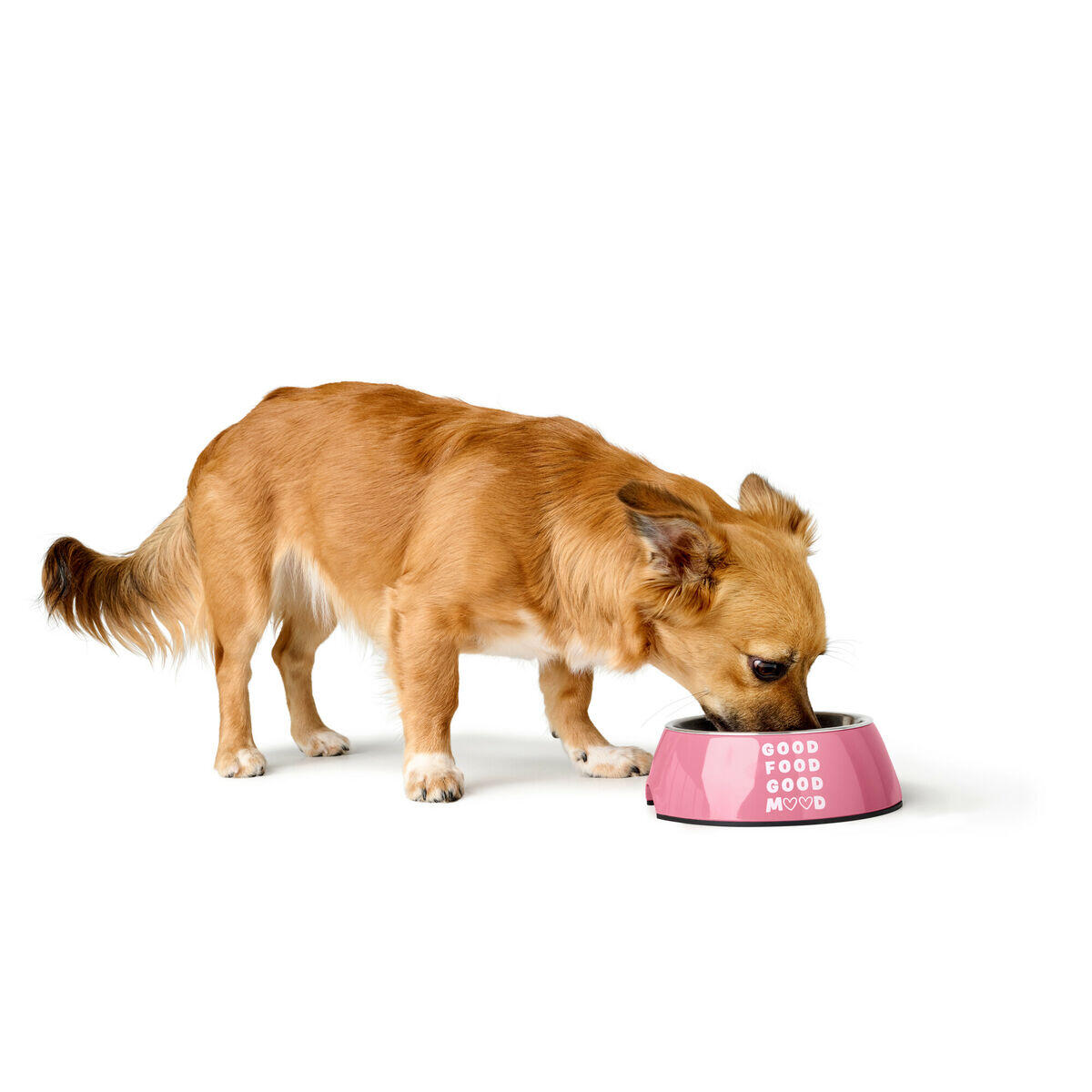 Comedero para Perro Hunter Chester Rosa 2/5