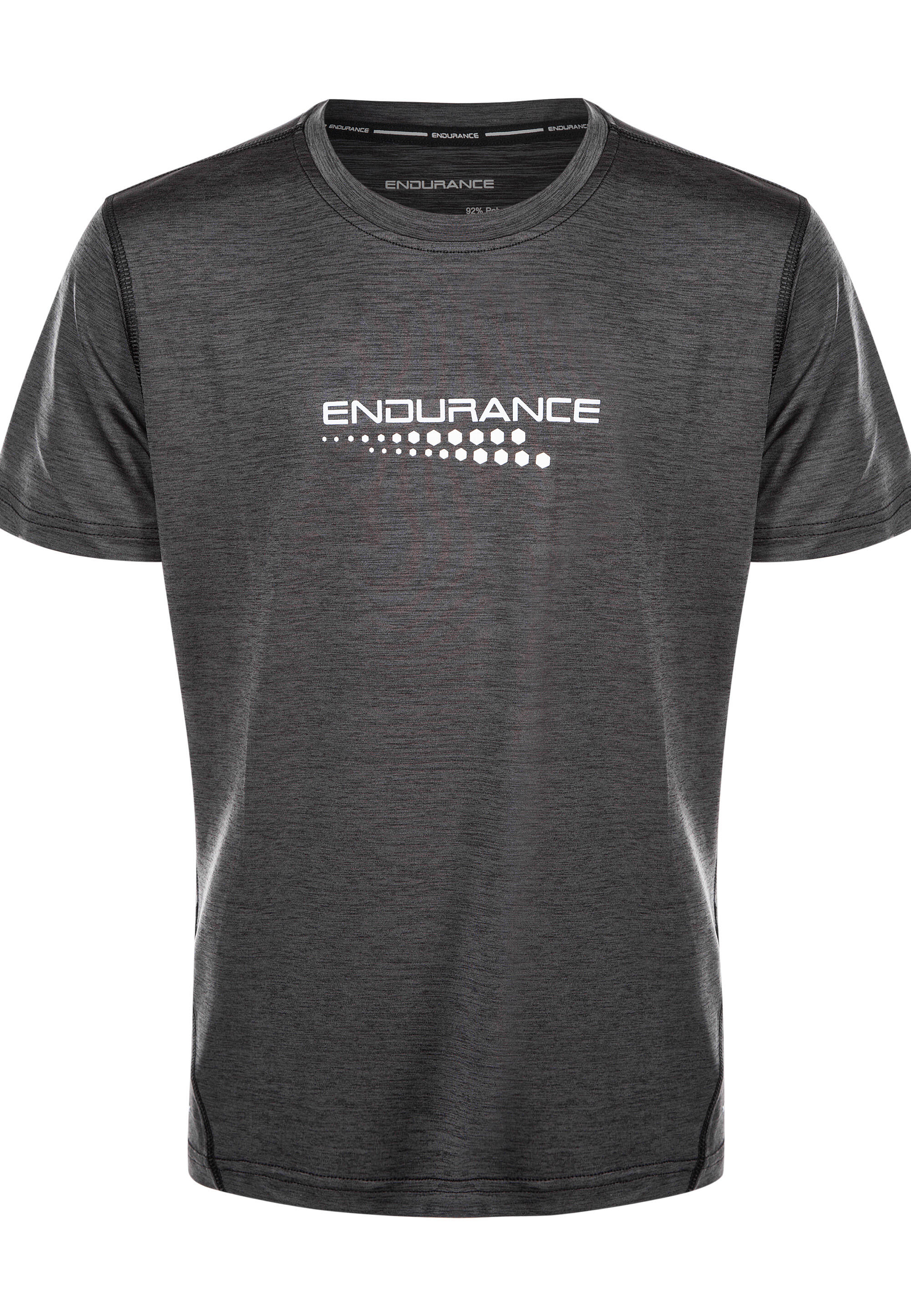 ENDURANCE picture