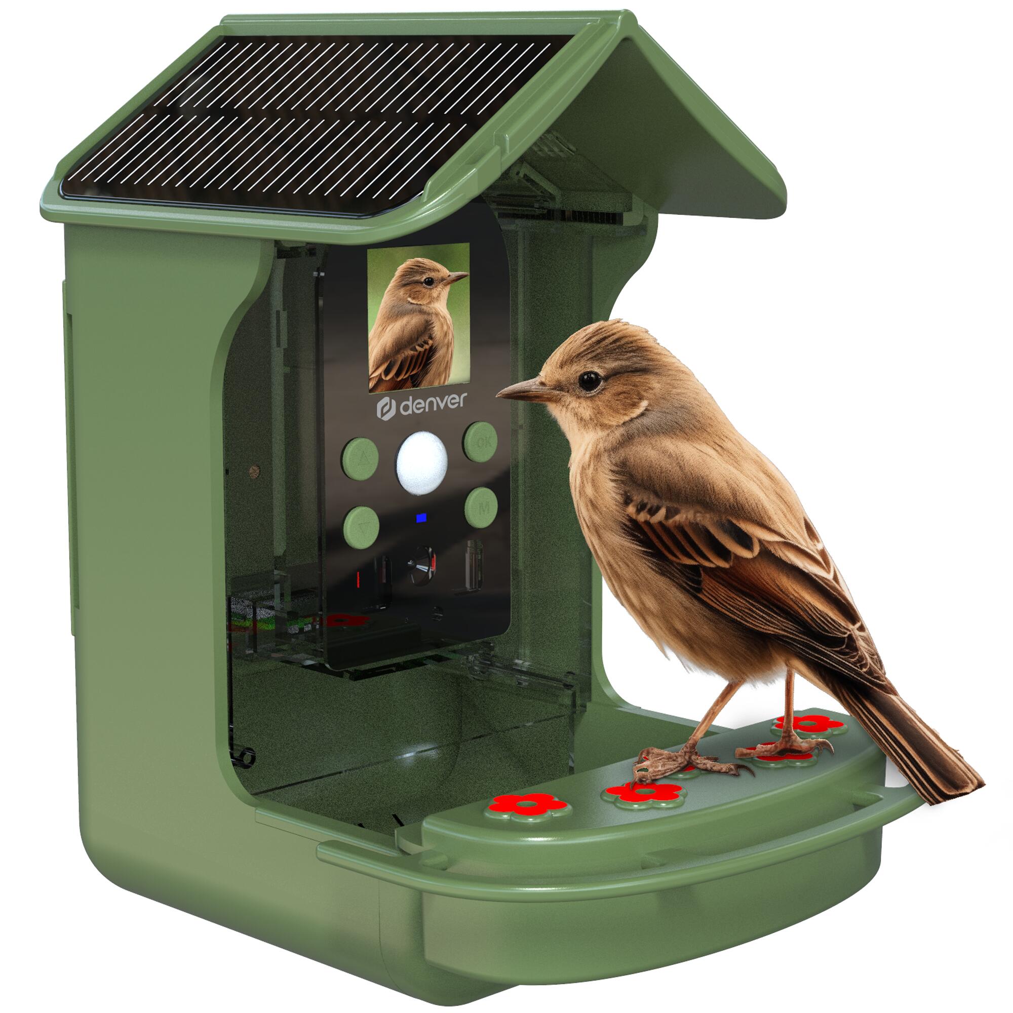 Maak je eigen vogelvoederbakjes met sinaasappelschillen Maak je eigen vogelvoederbakjes met sinaasappelschillen