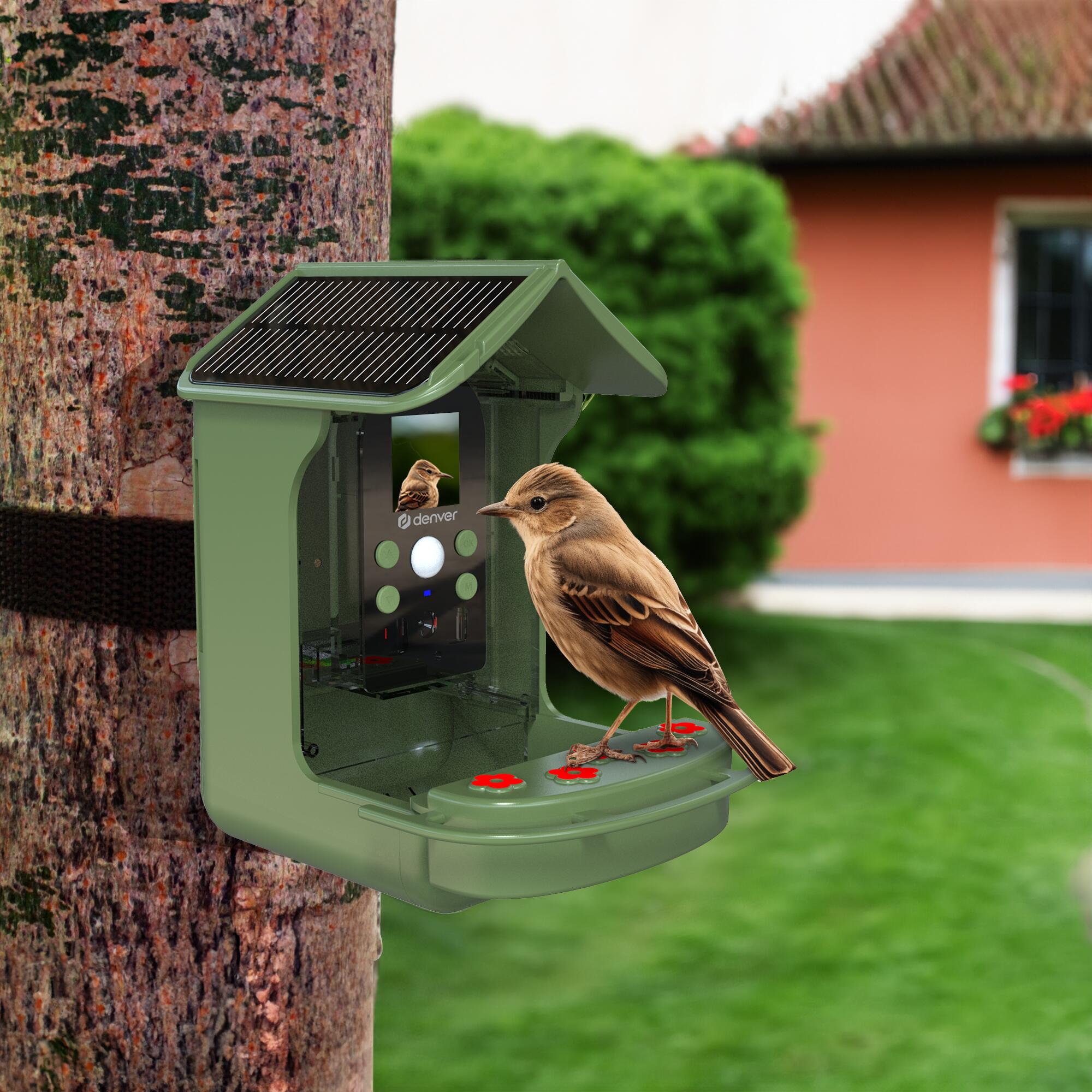 Kidken Mangeoire Pour Oiseaux Connectée Avec Caméra HD 1080p – Alimentation Solaire, Détection IA, Vision Nocturne – 2L, IP66 – Idéal Pour Observer Les Oiseaux Sauvages