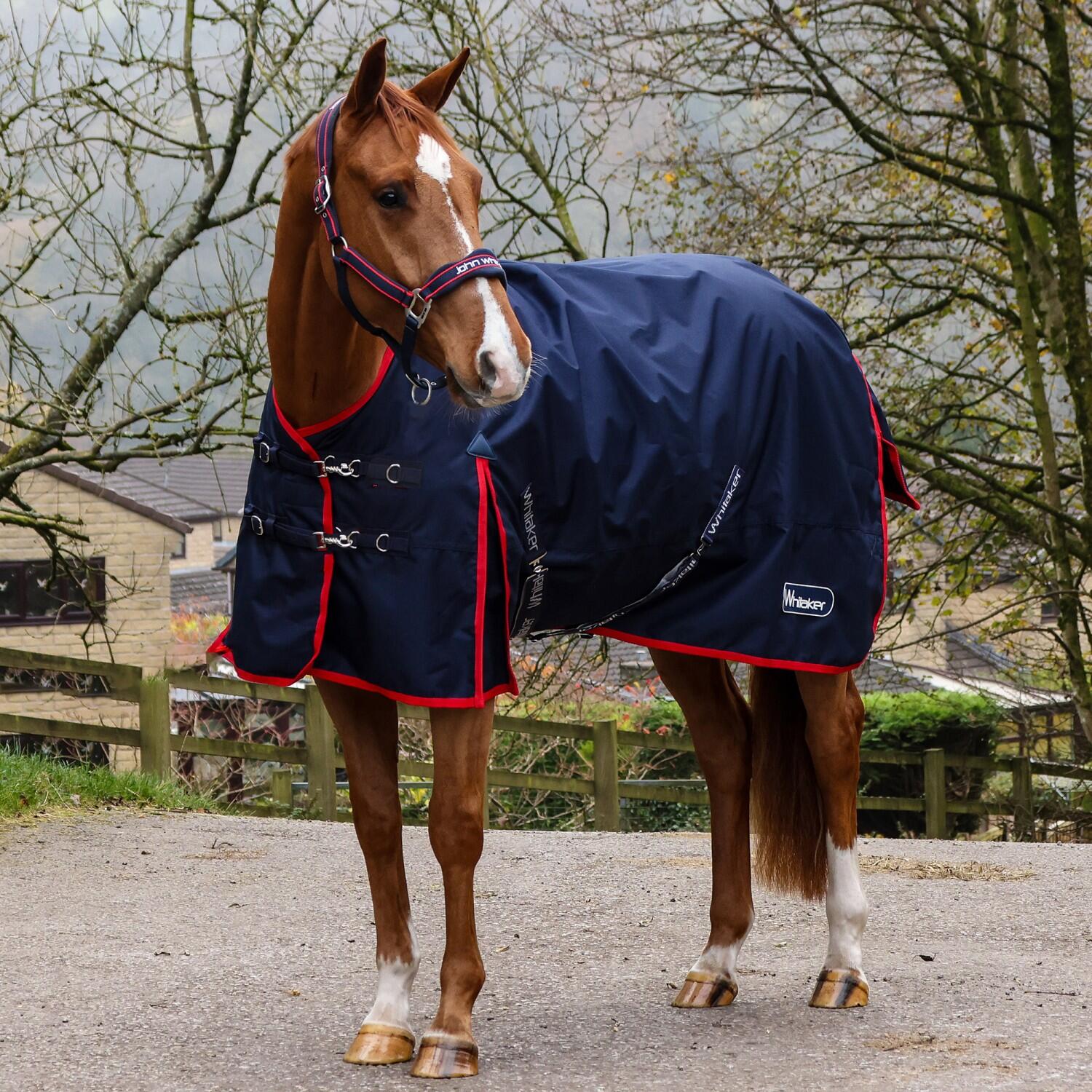 Whitaker 0g Lightweight Turnout Horse Rug 2/3