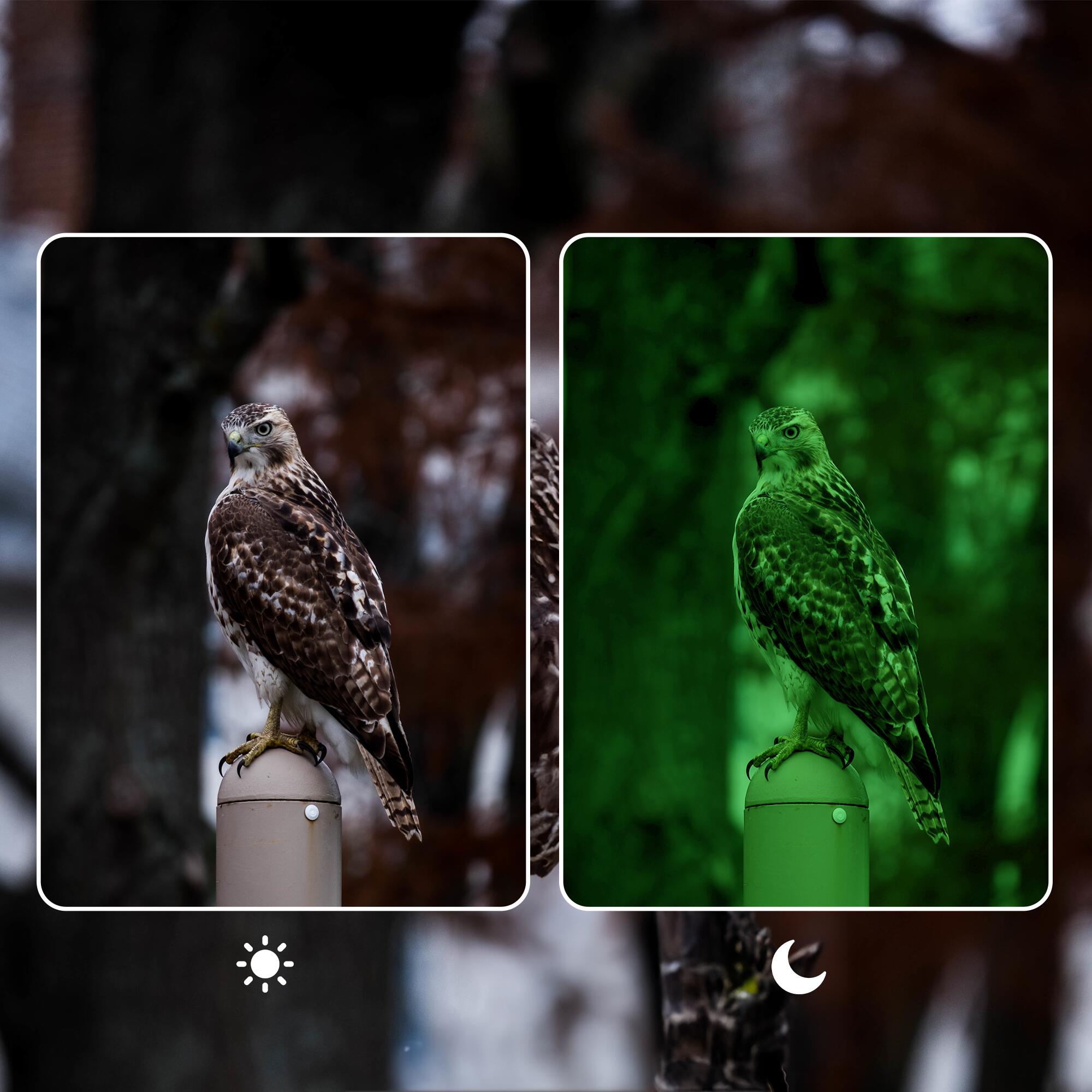 Caméra de Chasse avec Vision Nocturne - 4K Ultra HD - 50MP - Étanche - WCT8016 3/7