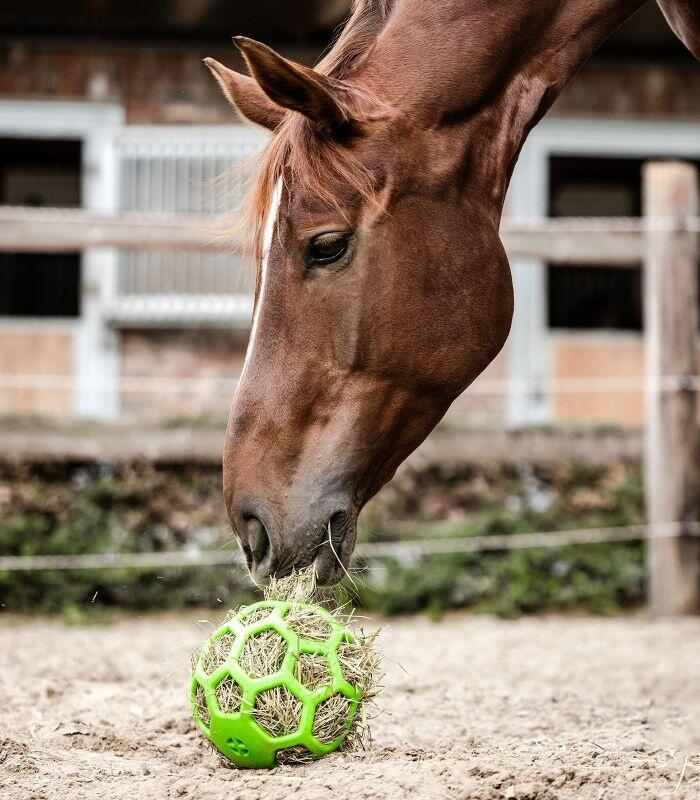 Waldhausen Balle de foin - Verte 3/3