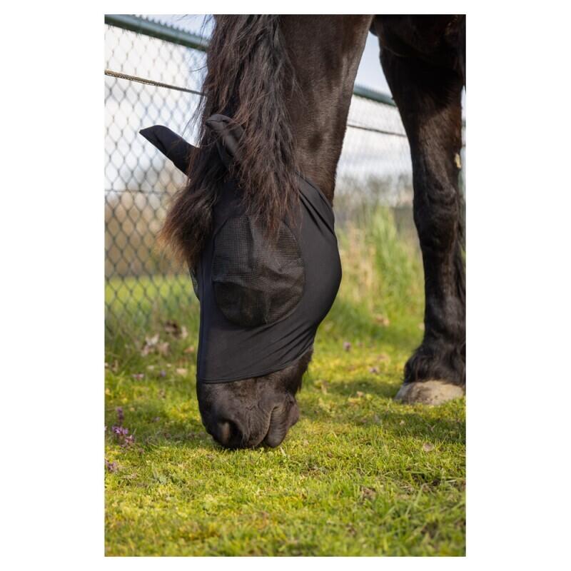 Protections De Pattes Cashel Crusader LEG GUARDS Pour Cheval - Taille Standard - Maille Anti-mouches - Neuf