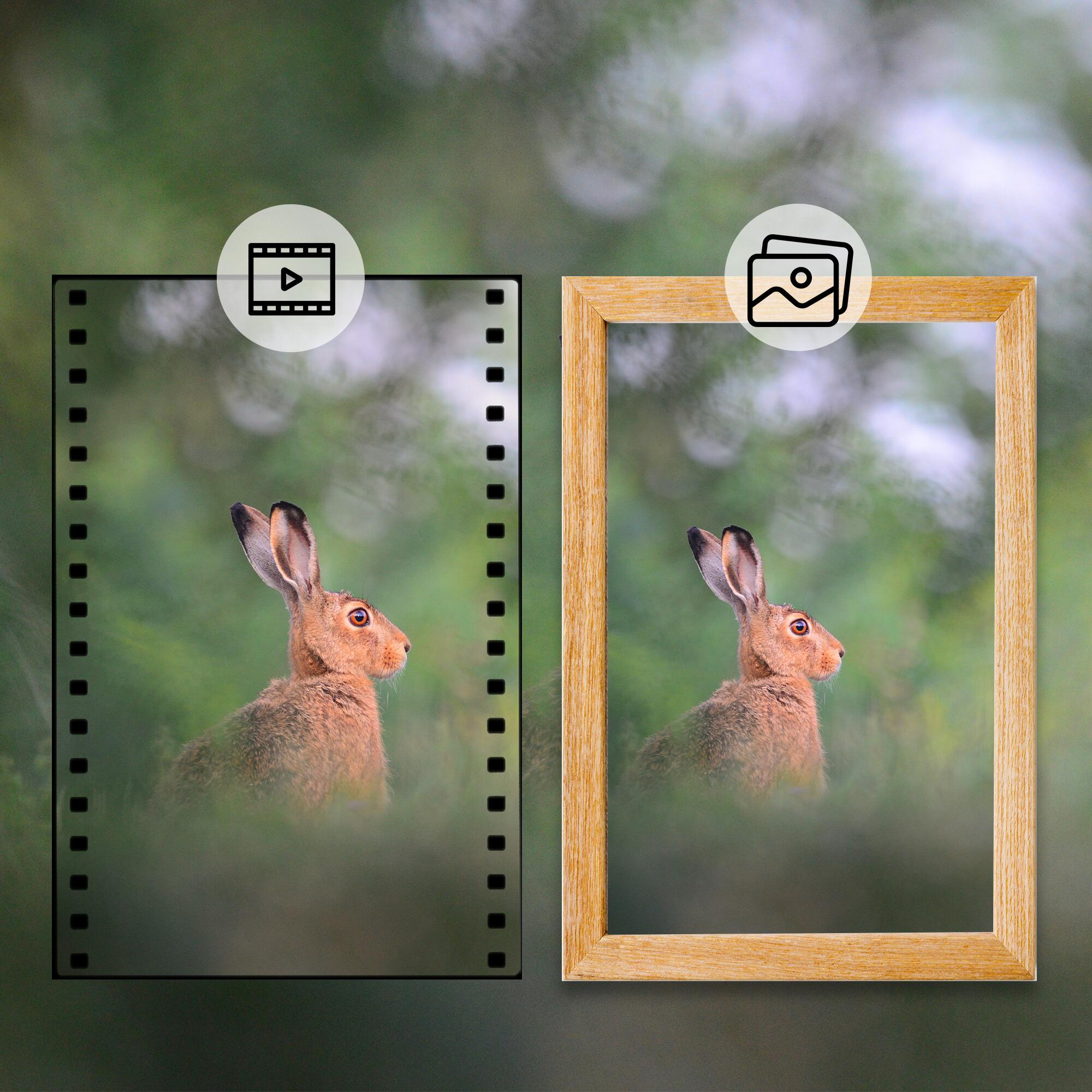 Caméra de Chasse avec Vision Nocturne - 4K Ultra HD - 50MP - Étanche - WCS5023 4/7