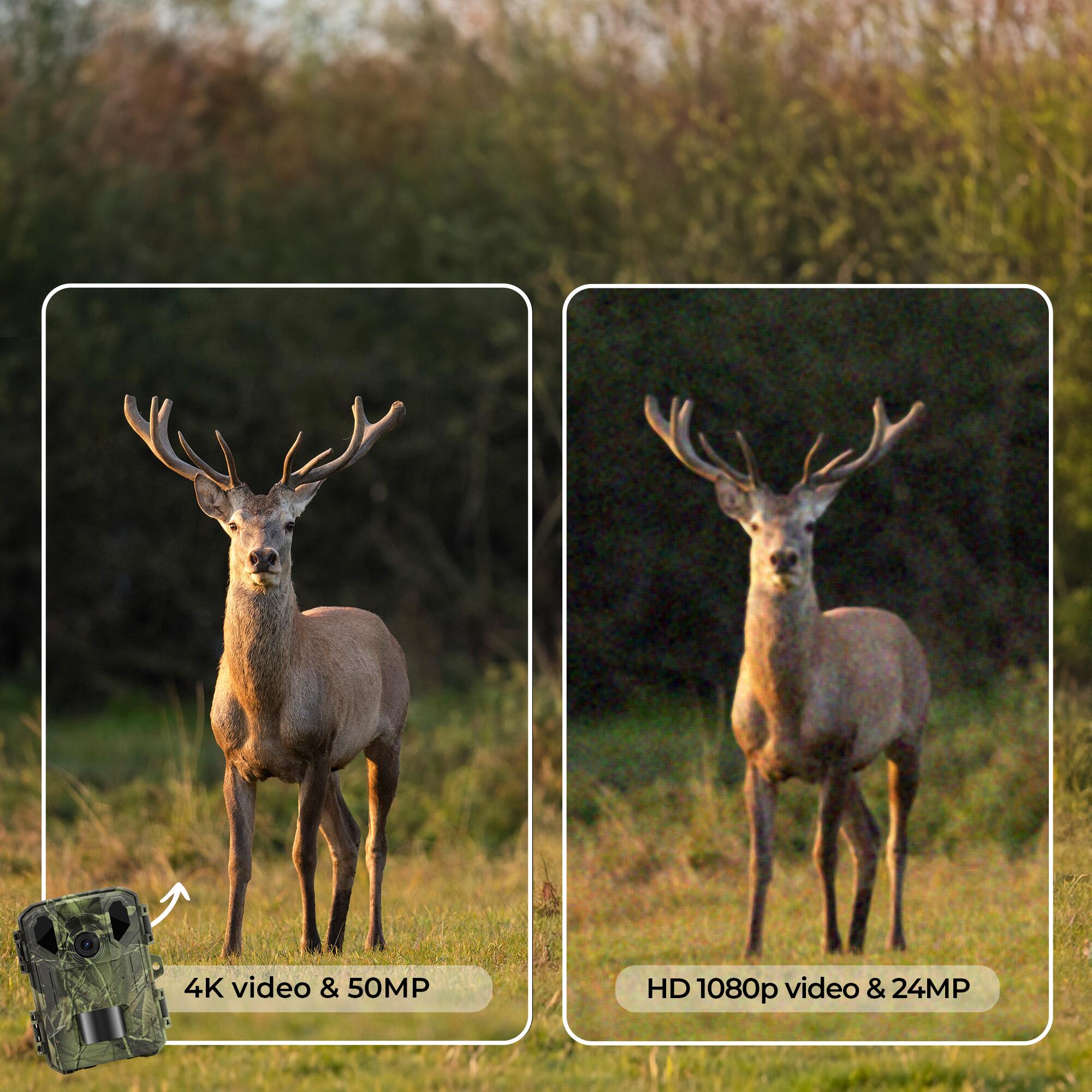 Caméra de Chasse avec Vision Nocturne - 4K Ultra HD - 50MP - Étanche - WCS5023 2/7