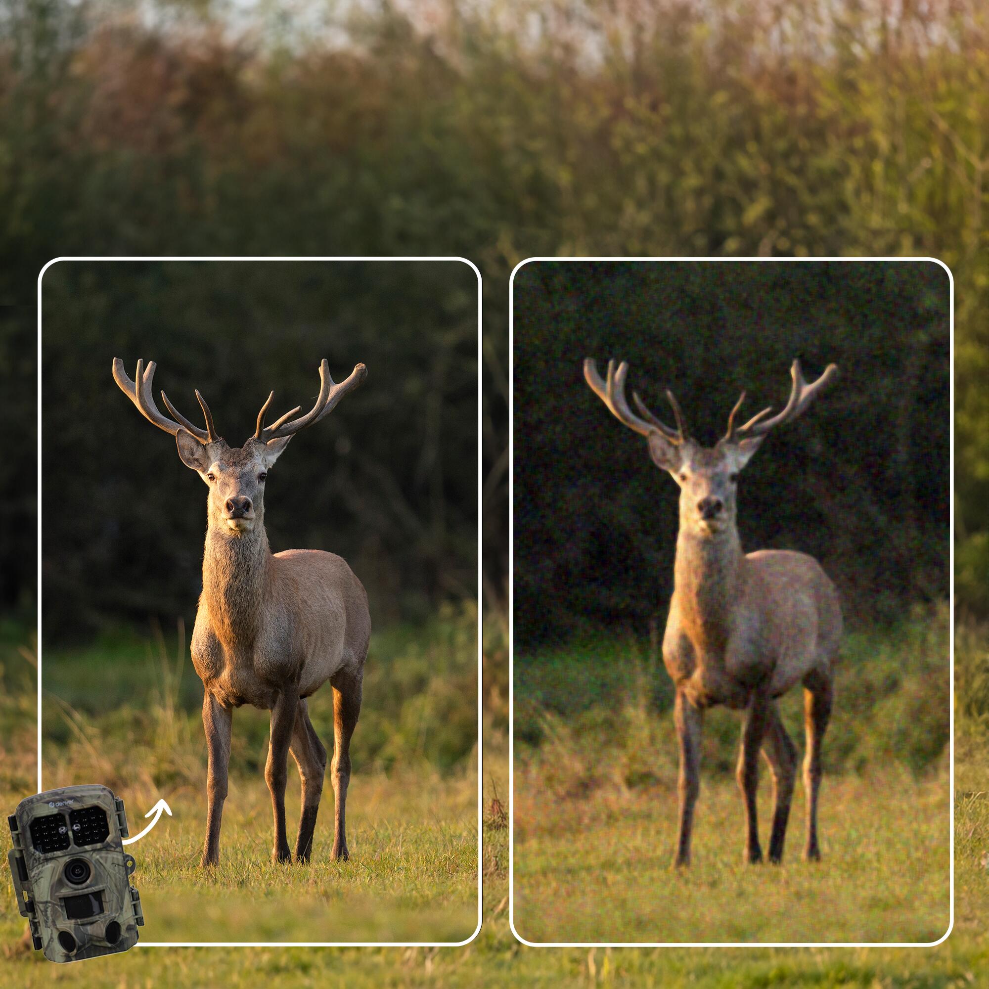 Caméra de Chasse avec Vision Nocturne - WiFi - 4K - 48MP - Étanche - WCT8026 2/7