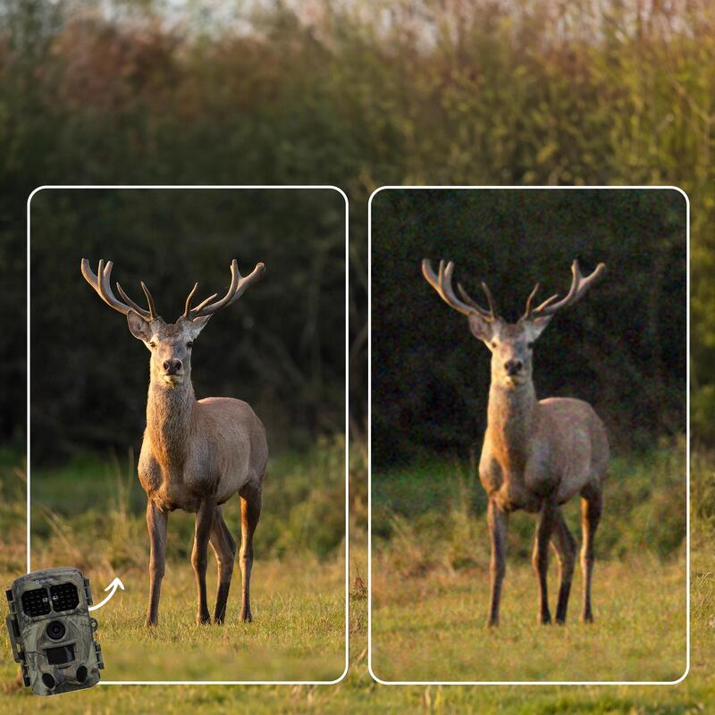 Caméra de Chasse avec Vision Nocturne - WiFi - 4K - 48MP - Étanche - WCT8026