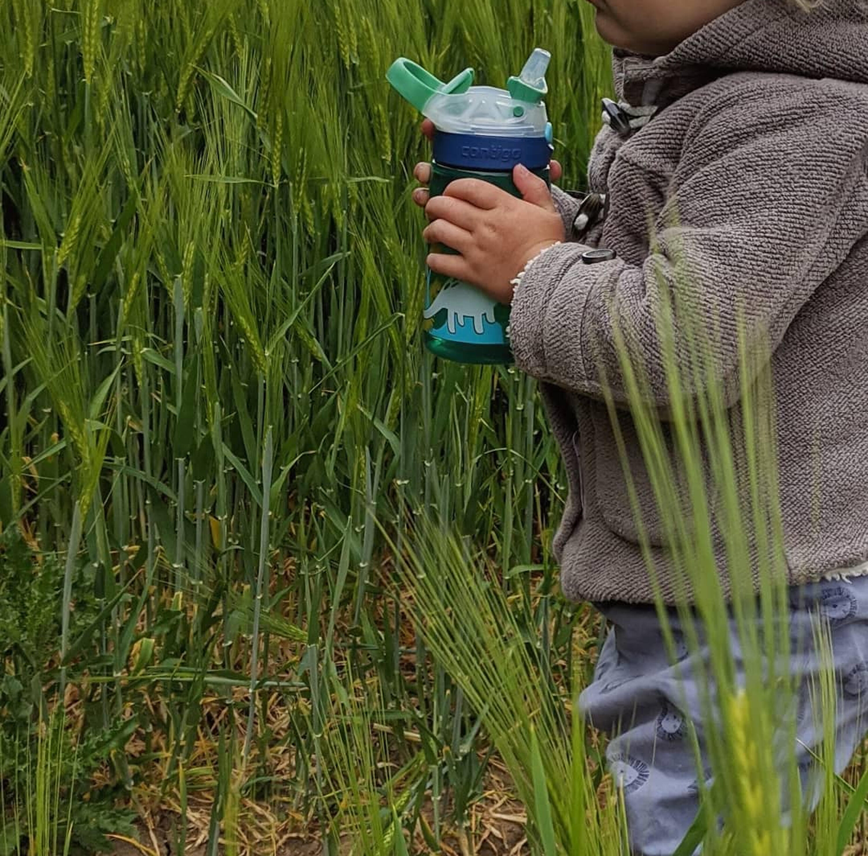 Bottiglia per bambini Contigo Gizmo Flip 420 ml, Jungle Dino 5/6
