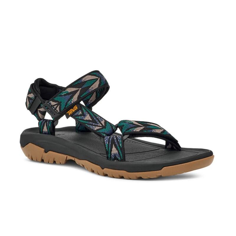 TEVA picture