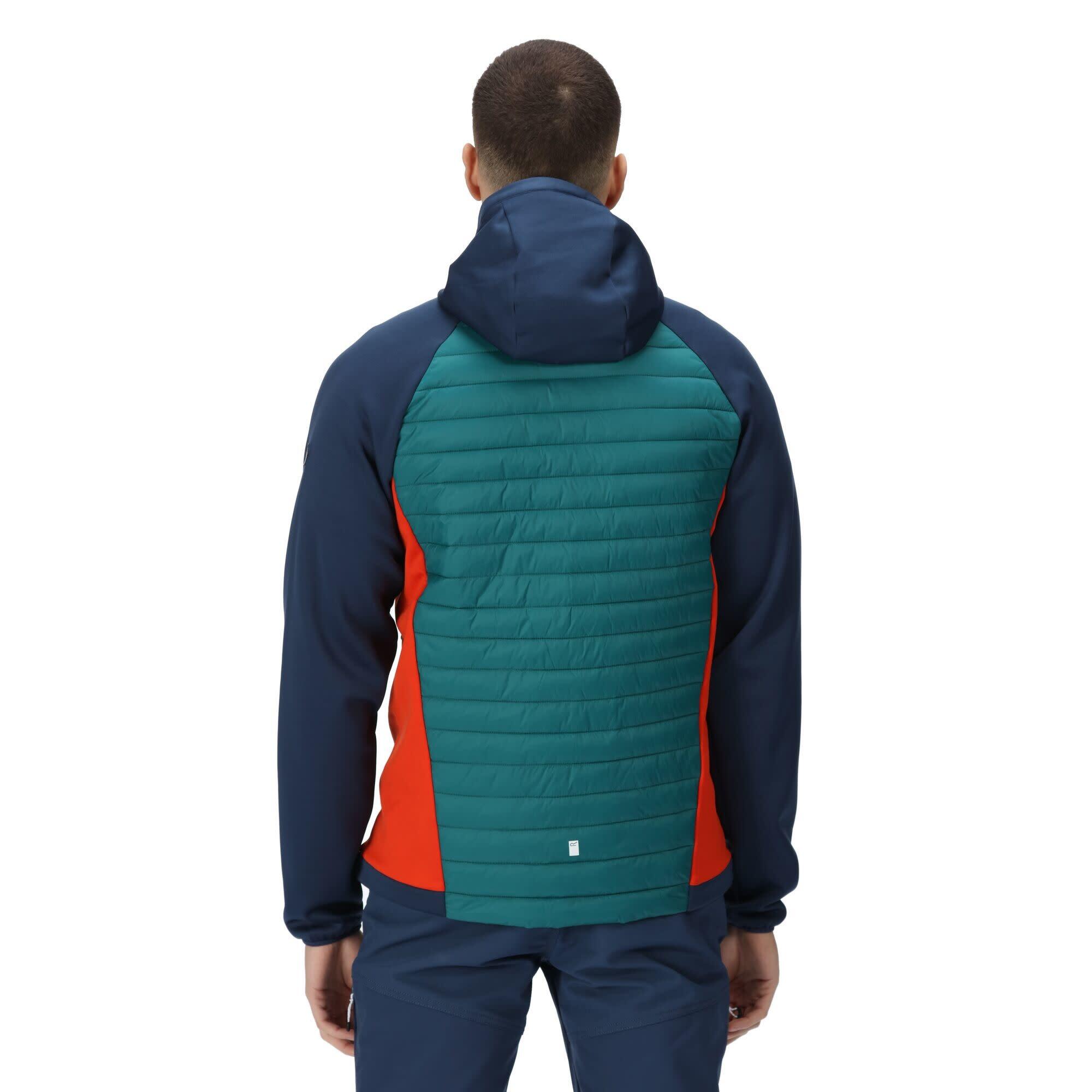 Chaquetas Softshell Hombre - REGATTA Andreson VII Hybrid - Pacific 5/7