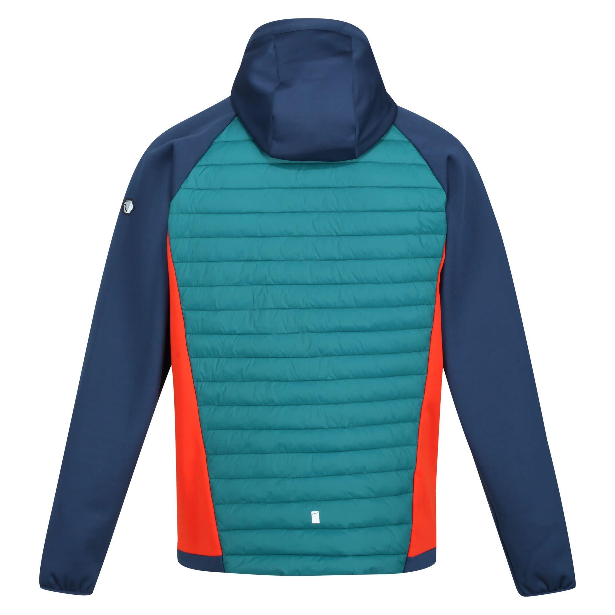 Chaquetas Softshell Hombre - REGATTA Andreson VII Hybrid - Pacific 6/7
