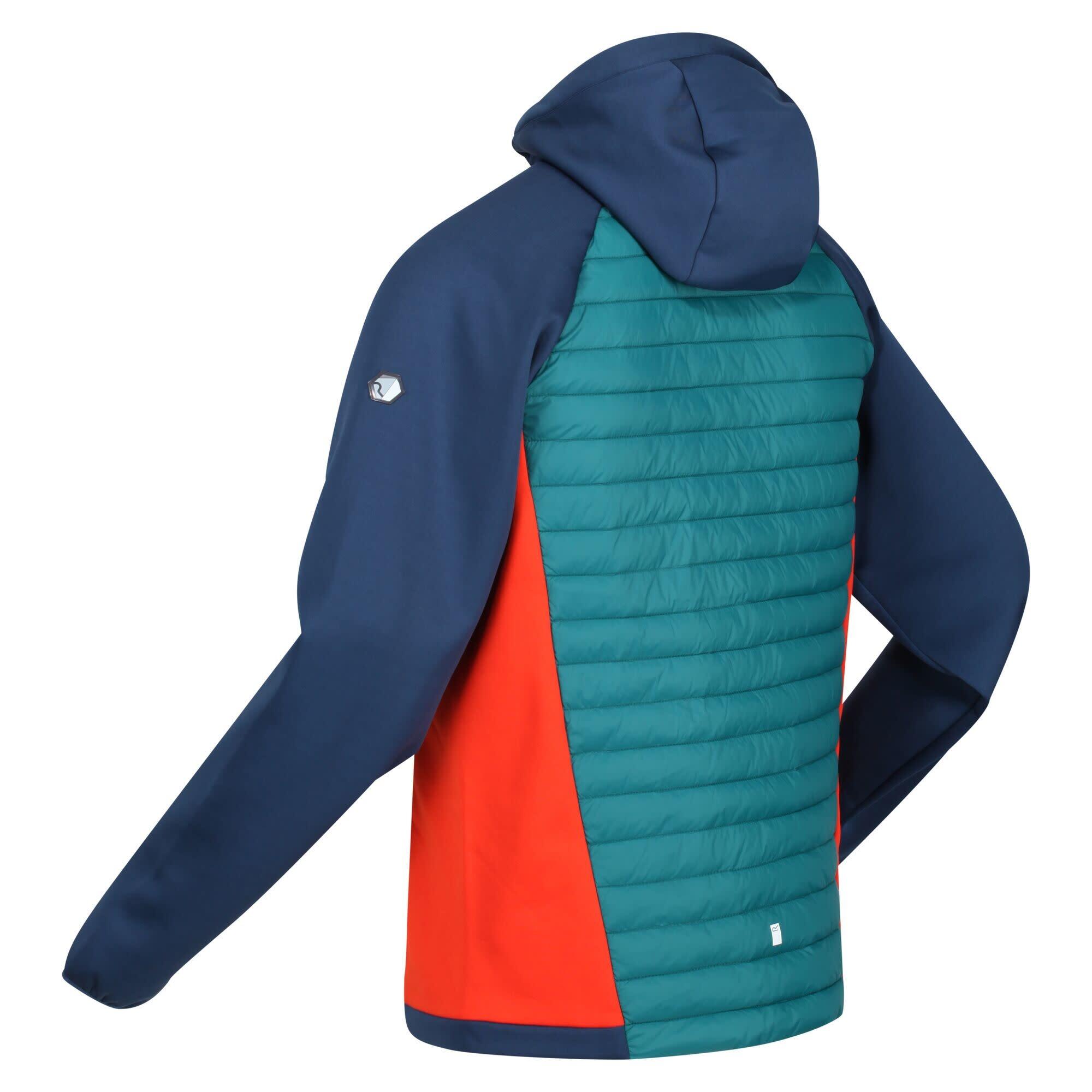 Chaquetas Softshell Hombre - REGATTA Andreson VII Hybrid - Pacific 4/7