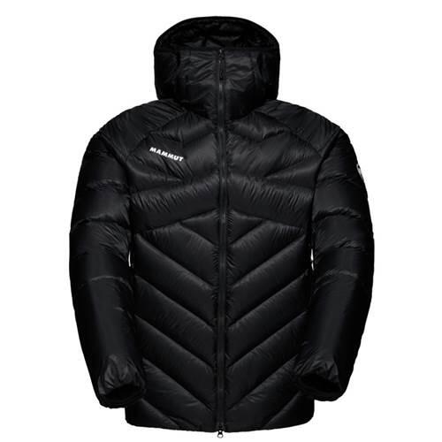 MAMMUT picture
