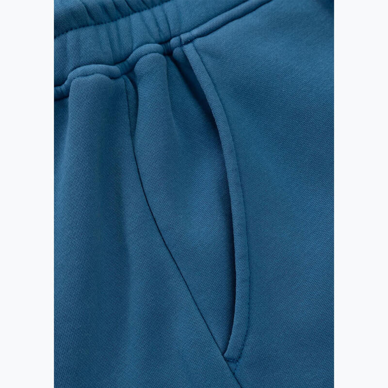 Pantaloni de antrenament Pitbull Lancaster 2 pentru bărbați