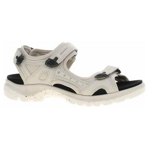 Buty do chodzenia damskie Ecco 82218302163