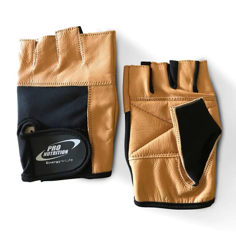 b9d30987-6a84-4e5b-b961-22fb8c740d99_c27c1