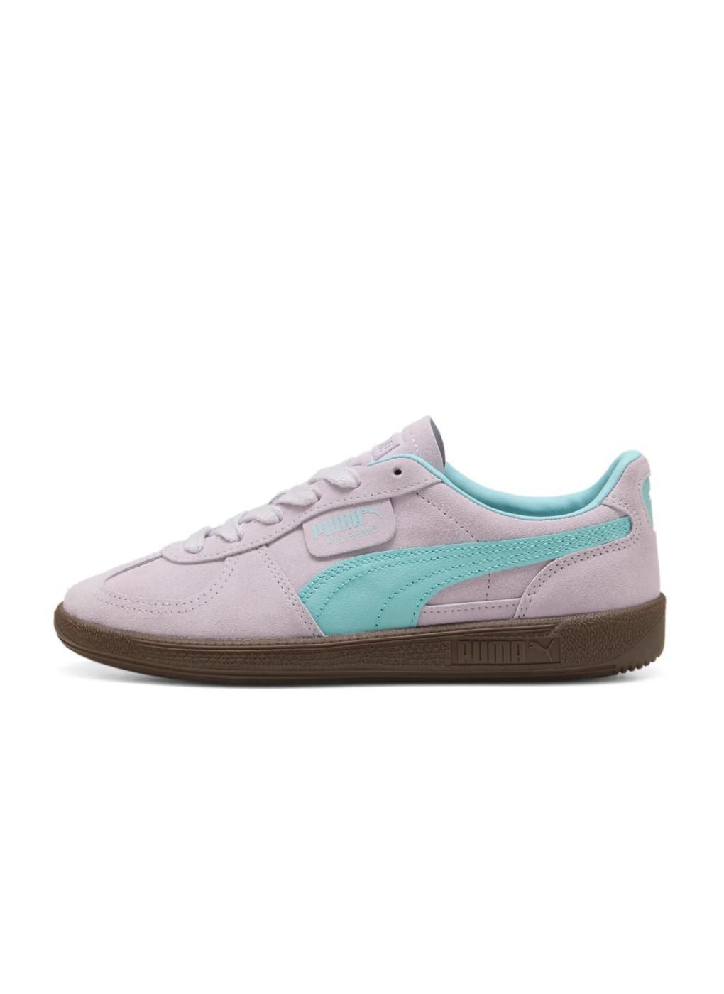 PUMA picture