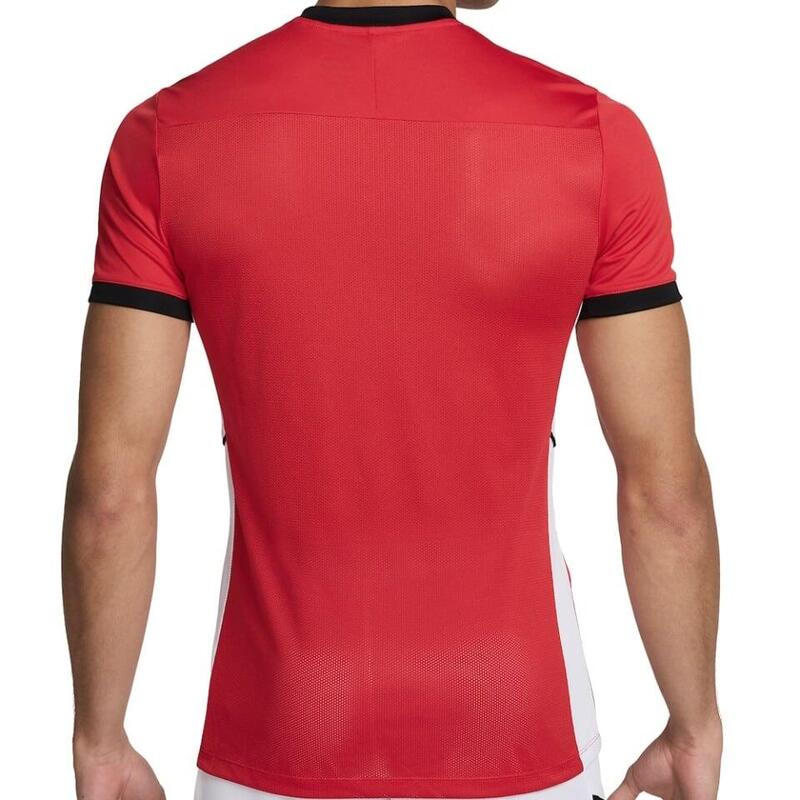 Tricou Nike Dri-FIT Academy 25 pentru barbati, S
