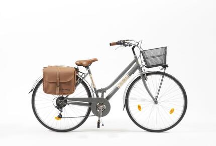 Vélo de ville 28 pouces 605 Lady gris