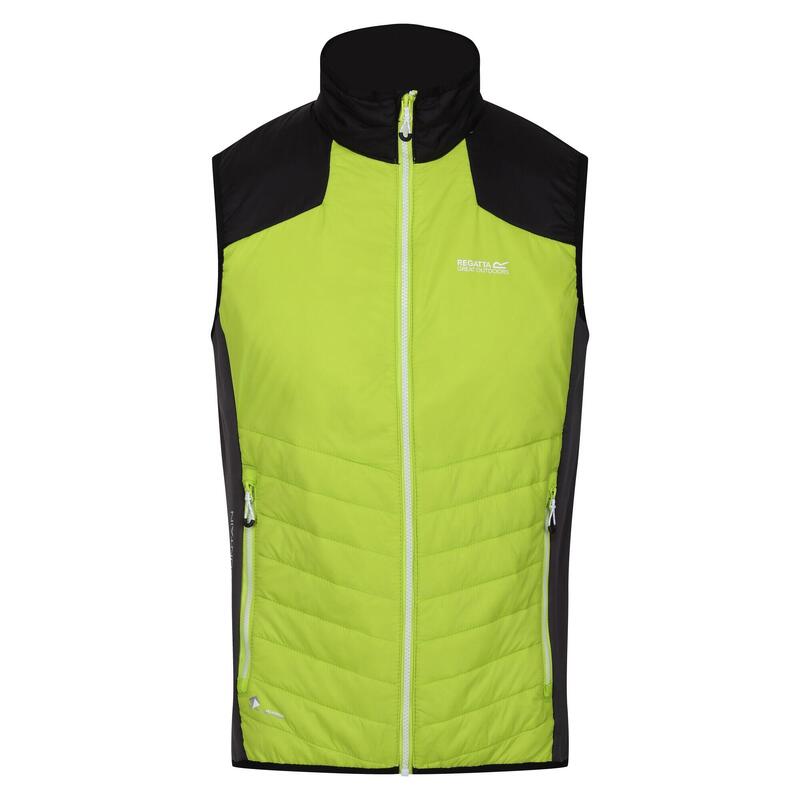Steppweste Halton Wandern/Outdoor/Trekking Herren BriKiwi/Blk Atmungsaktiv