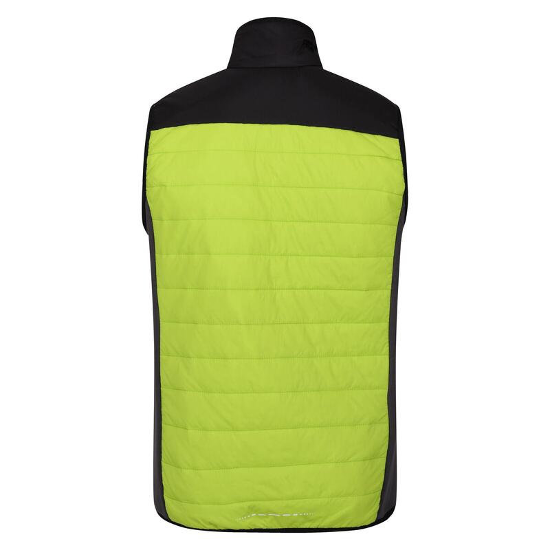 Steppweste Halton Wandern/Outdoor/Trekking Herren BriKiwi/Blk Atmungsaktiv