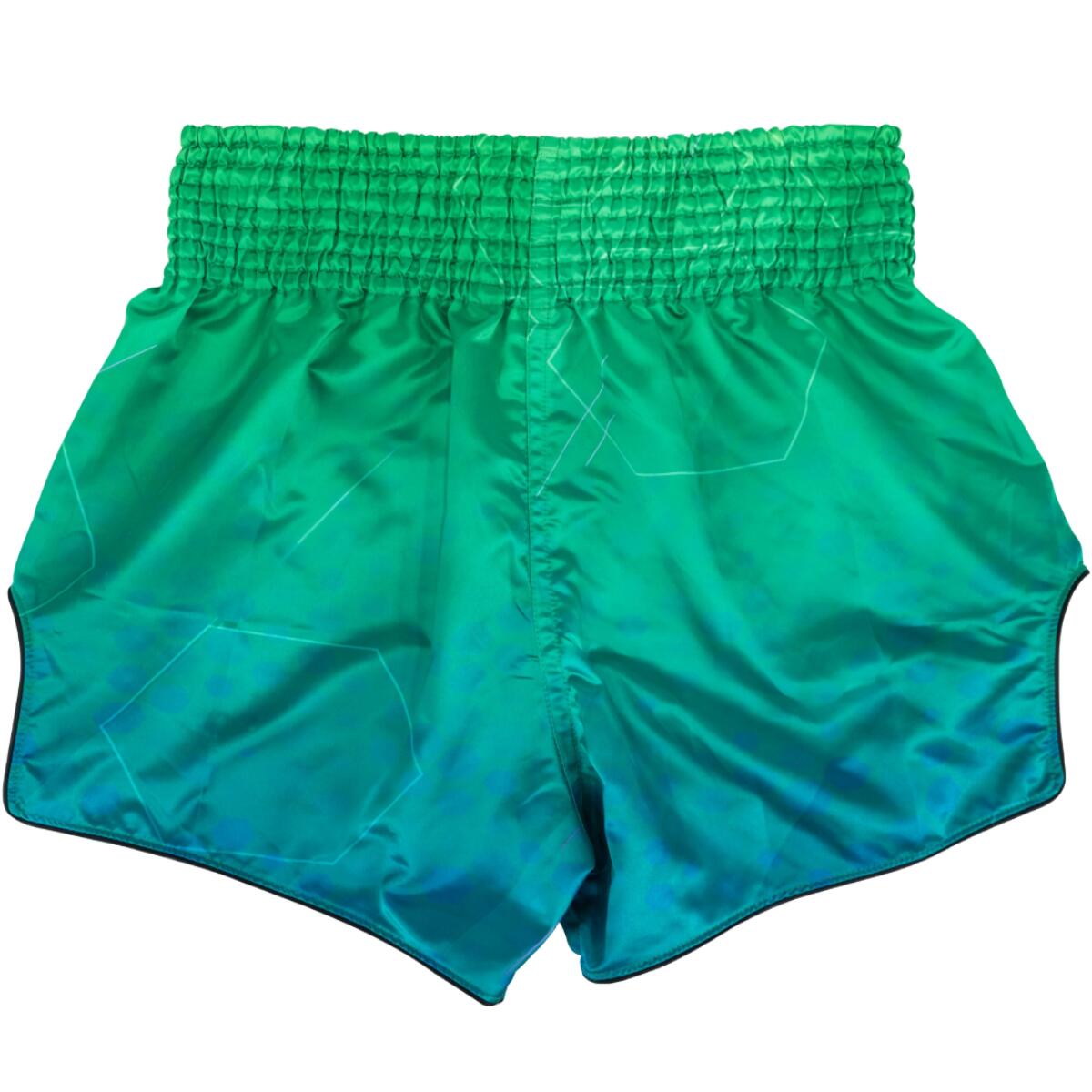 Muay Thai Shorts Fairtex Quantum 2/2