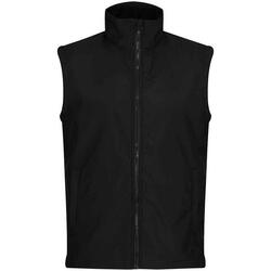 Veste Sans Manches ABLAZE Homme (Gris Phoque / Noir)