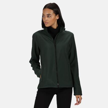 Veste Softshell Femme (Gris/noir)