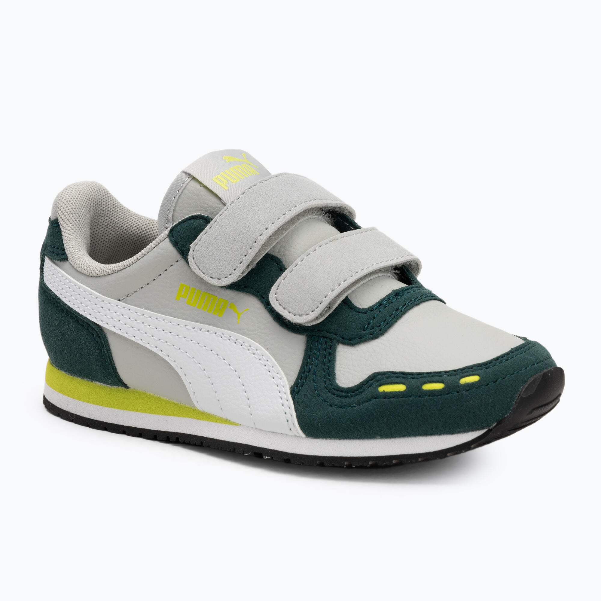 PUMA picture