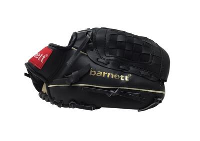 Einweihungs-Baseballhandschuh REG JL-102