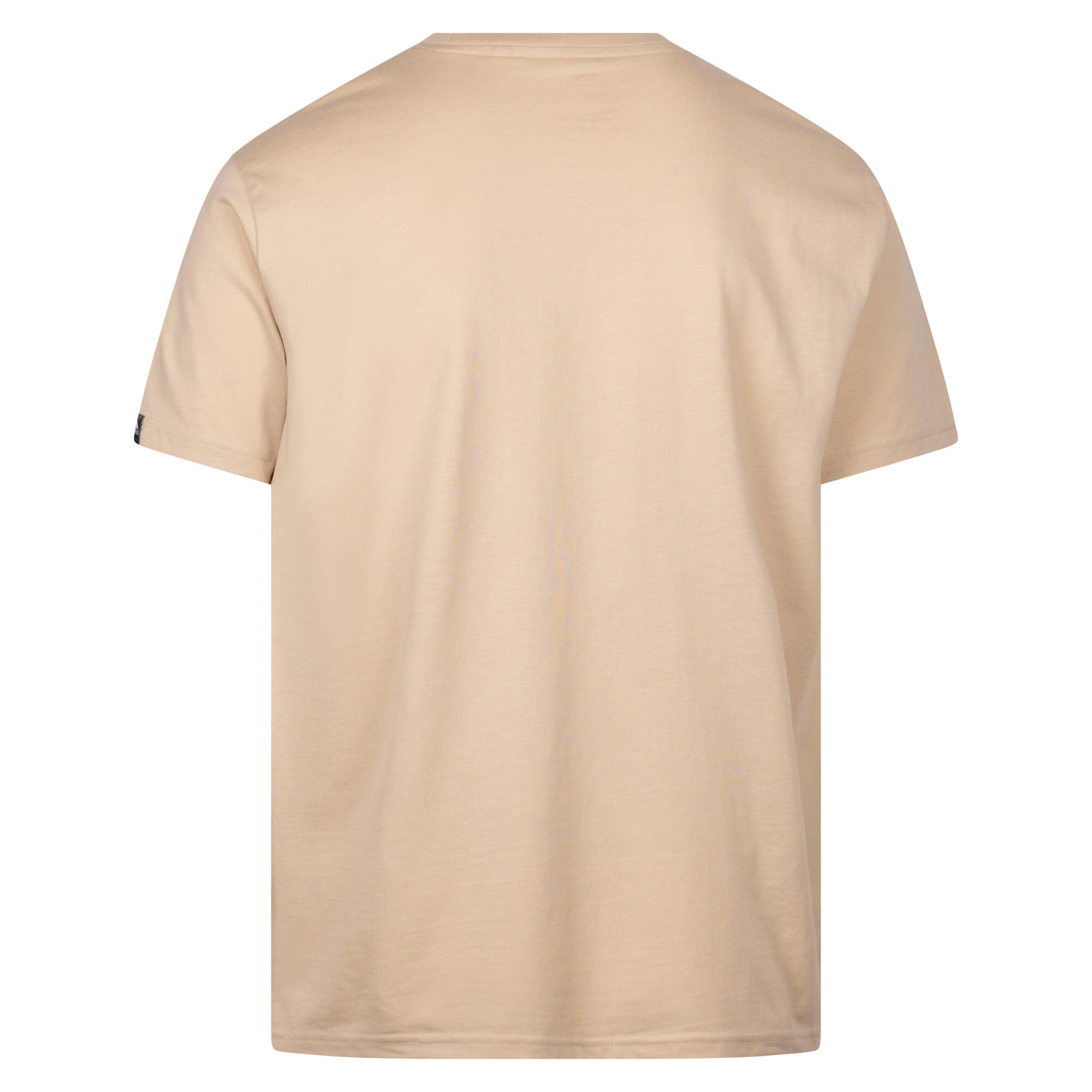 Tshirt GRANDE Homme (Pierre Claire) 2/3