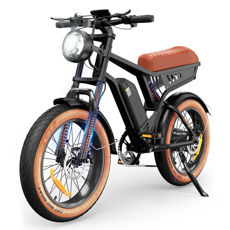 Vélo électrique Isinwheel R6 pour adultes, 250 W, 48 V, 13 Ah, 20 pouces