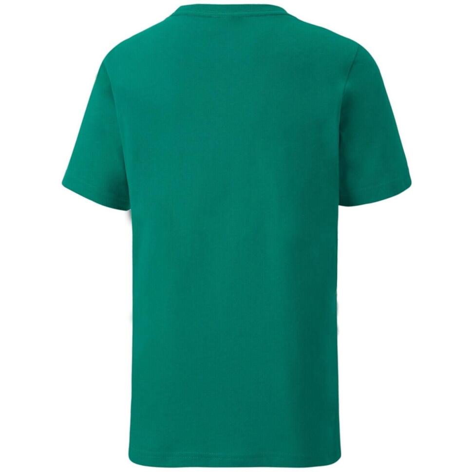 Koszulka Puma Teamgoal 23 65670905-2pack, Dzieci