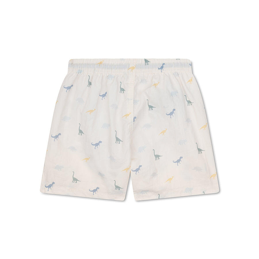 Swim Essentials Swim Shorts - Multicolor - Dino 2/5