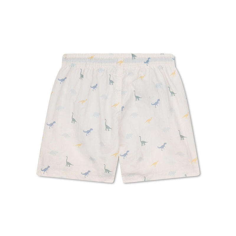 Swim Essentials Swim Shorts - Multicolor - Dino