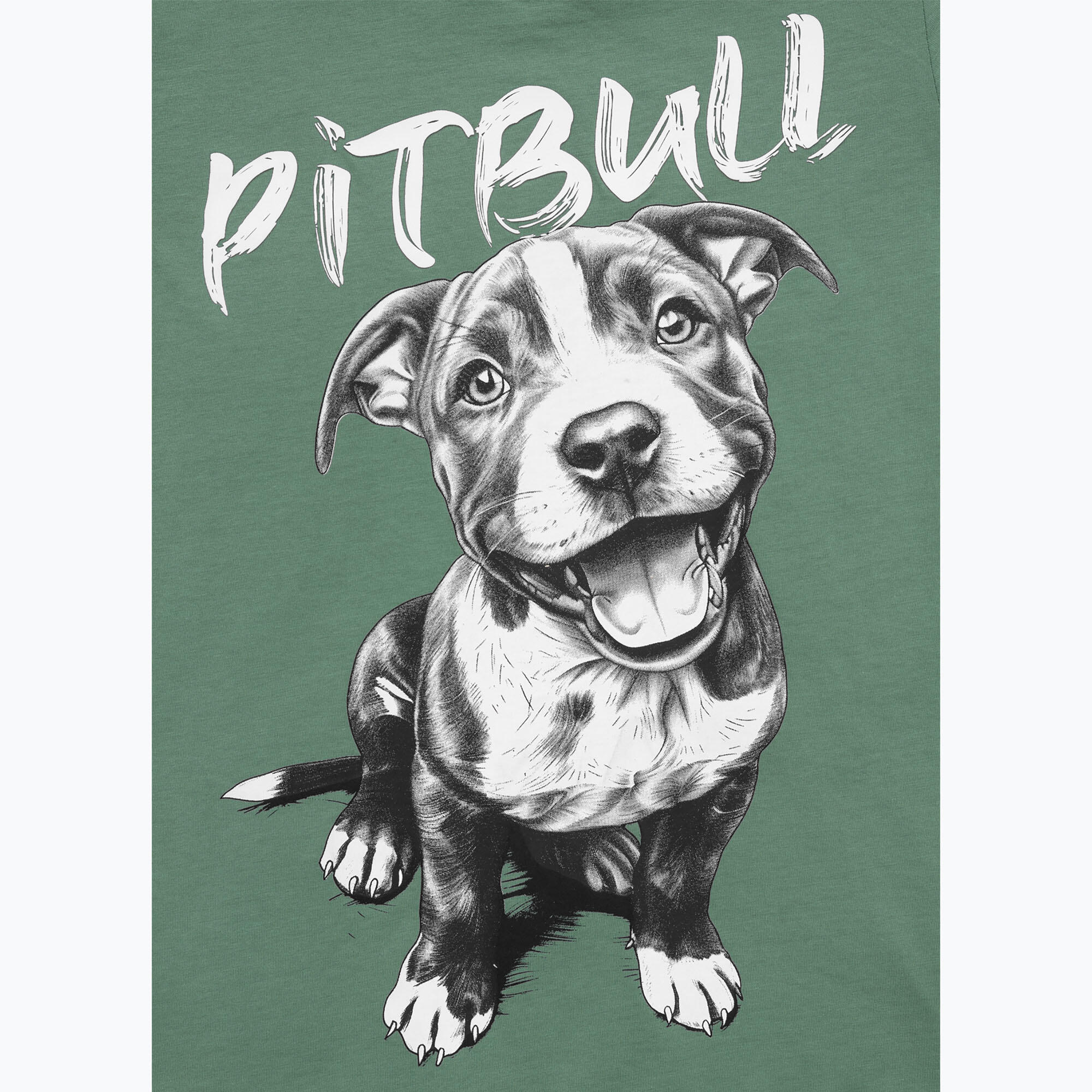 Pitbull Puppy 2 dames-T-shirt 4/5