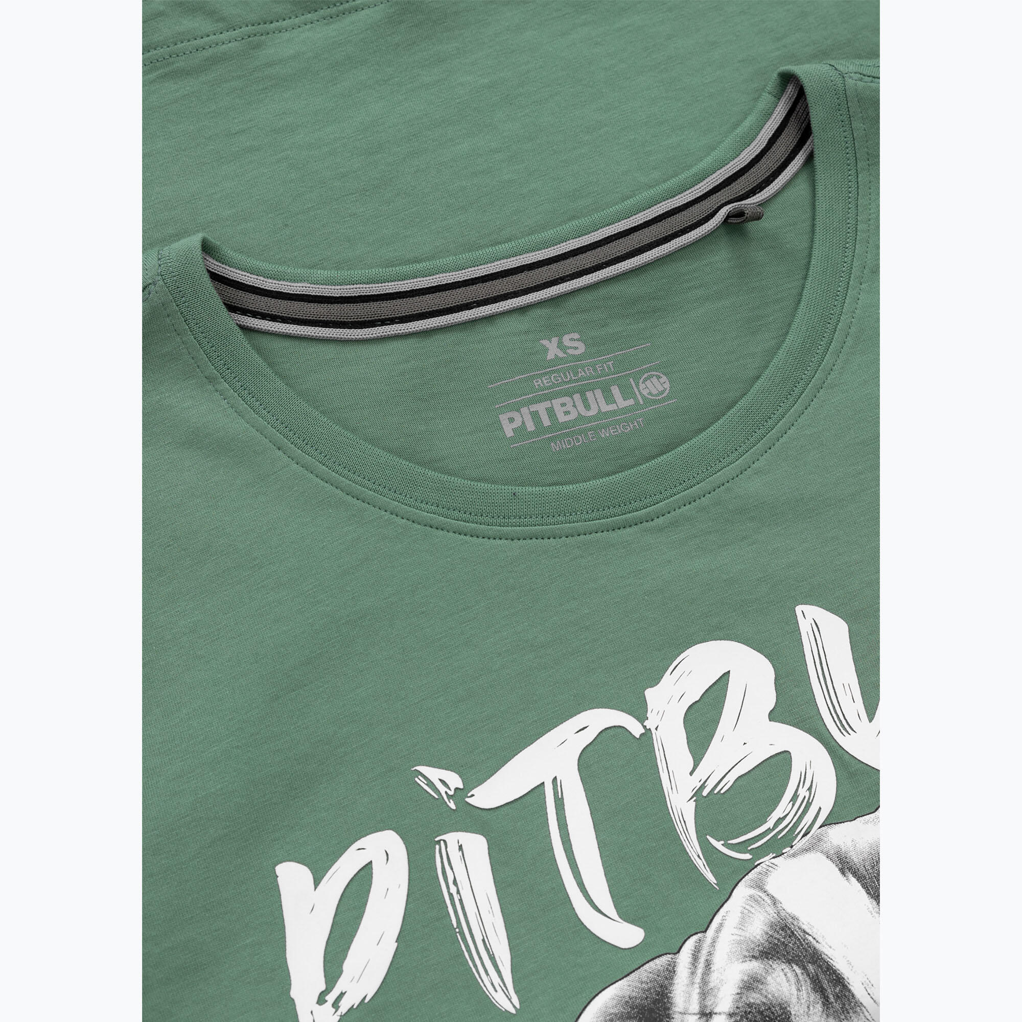 Pitbull Puppy 2 dames-T-shirt 3/5