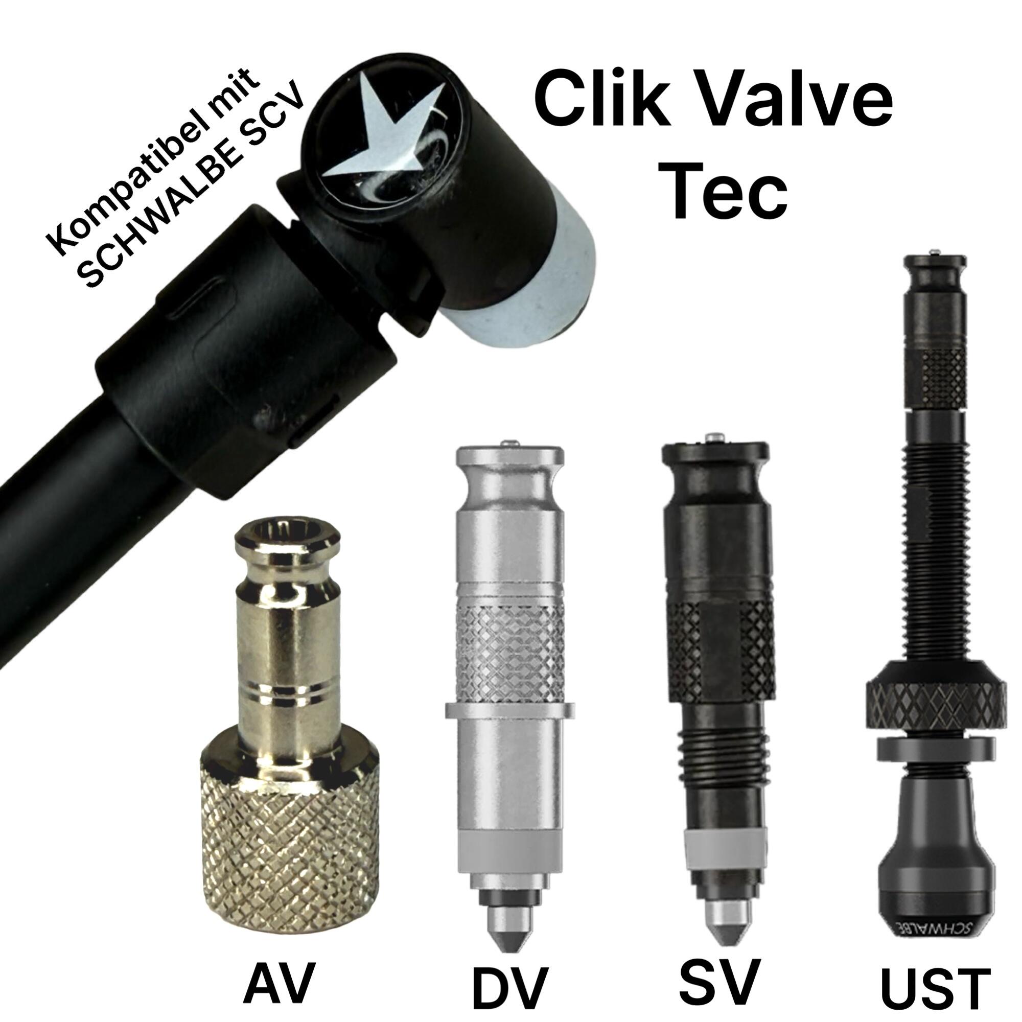 F26 Druckluft Kompressor Pistole + Schwalbe Clik Valve Tech Pumpenkopf SCV 2/7